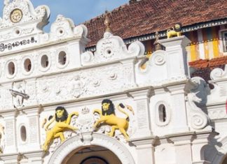 Einmalige Dschungel-Erlebnisse Mit Gebeco den Urwald hautnah erleben