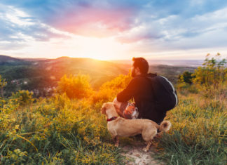 Frühlings-Wandern mit Hund 2019: Hundefreundliche Touren & Gastgeber