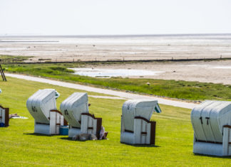 Pharisäerhof: Neues Special „Dogs Paradise“ lässt keine Wünsche offen