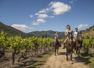 In vino veritas: Chile auf der ProWein in Düsseldorf
