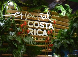 Hätten Sie´s gewusst? Urwalddeko Costa Ricas war echt