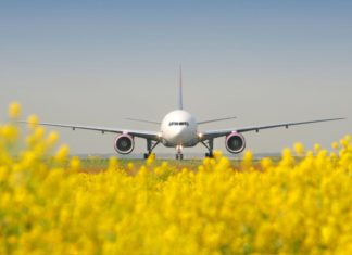 Ab Flughafen Frankfurt ins Frühjahr starten