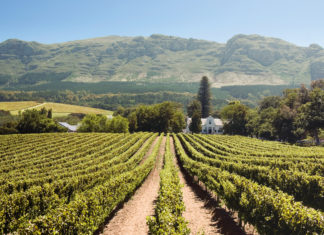 Afrika für Einsteiger per Kreuzfahrtschiff entdecken