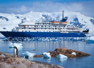 Frühlingsangebot: Bis zu 20 Prozent auf Antarktisexpeditionen mit Chimu Adventures
