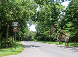 Geheimnisse und Intrigen: Amerikas erster Spionagering