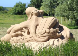 Kunst und Erlebnis am Puls der Nordsee