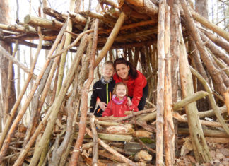 Falter, Vögel, Fledermäuse und vieles mehr