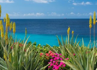 Mit Condor auch im Winter 2019/20 nonstop nach Curaçao