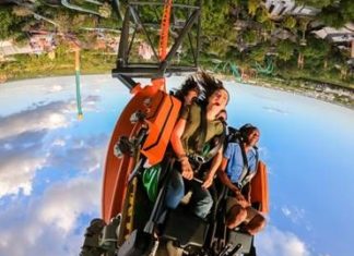 Katapult-Achterbahn Tigris geht in Busch Gardens Tampa Bay an den Start