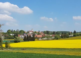 Frühlingserwachen im Haus Mohnblume