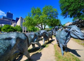 Familienparadies Dallas & Fort Worth