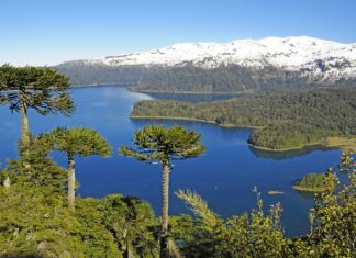 UNESCO zeichnet Kütralcura als ersten globalen Geopark in Chile aus