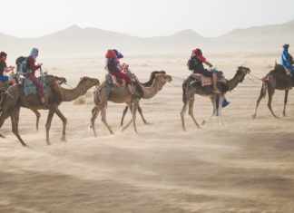 Mit ZiK Chor- und Musikreisen in ferne Länder