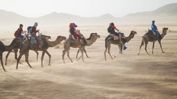 ZiK, ZiK Gruppenreisen, Gruppenreisen, ZiK Musikreisen, ZiK Studienreisen, ZiK Businessreisen, ZiK Individualreisen, Tourismus, Reiseveranstalter, Reisen, Daniel Minarzik, Reise, Reisen, Reisen nation