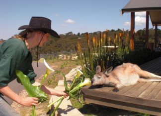 Jobbend die Welt erkunden – mit TravelWorks