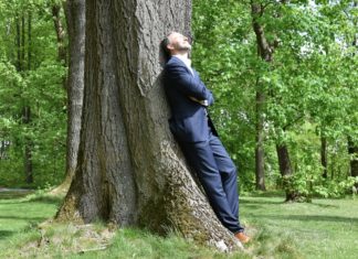 „Wiener Wald Baden“ Hotel Schlosspark Mauerbach