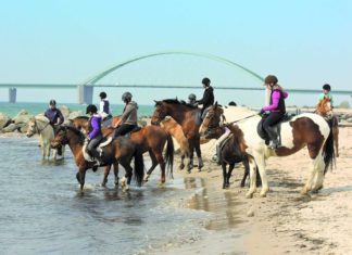 Campingferien zu Pferd