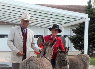 Gut Aiderbichl Ballermann Ranch auch für die WDR Sendung „Unser Land“ interessant