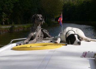 Hunde an Bord ausdrücklich erwünscht: Vierbeiner bei Locaboat Holidays