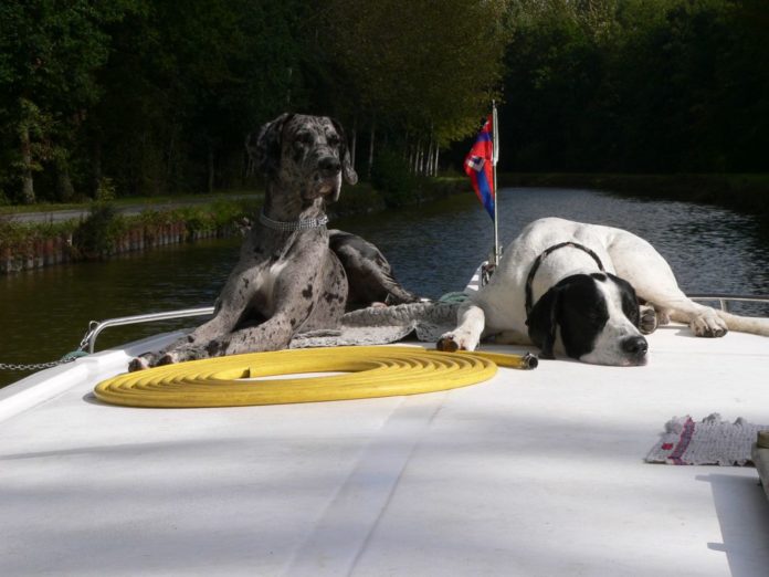 Hunde-an-Bord-©Locaboat-Holidays_WEBSITE