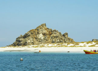 Tag des Meeres: Maritime Artenvielfalt in Chile