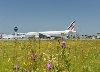 Umweltministerium zeichnet Flughafen München als „Blühenden Betrieb“ aus