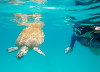 Barbados: Einzigartige Gesundheits- und Wellnessangebote sowie Soft Adventures im Wasser und an Land