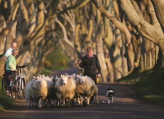 Die schönsten Seiten von Schottland, Irland und Schweden per E-Bike
