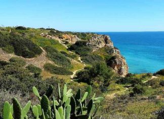 Anders reisen an der Algarve – Urlaub für Naturliebhaber