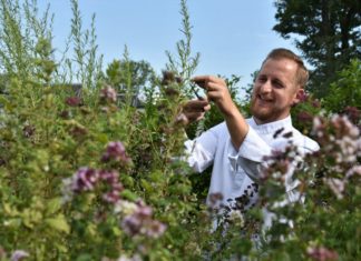 Neuer Küchenchef im Schlosspark Mauerbach
