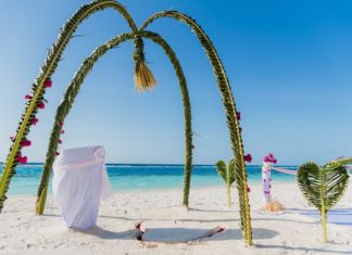 Noch einmal Ja sagen im Paradies