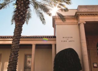 Kunst mit Käfern und Insekten als Hauptmedium