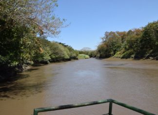 Costa Ricas Feuchtgebiet Palo Verde – Auge in Auge mit den Krokodilen
