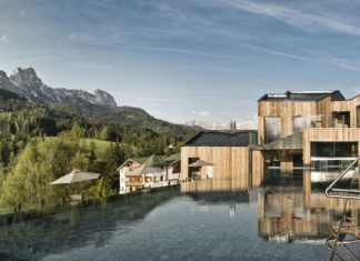 Mit waldLIEBE gegen die Erderwärmung: Das neue Baumpaten-Projekt des Naturhotel Forsthofgut