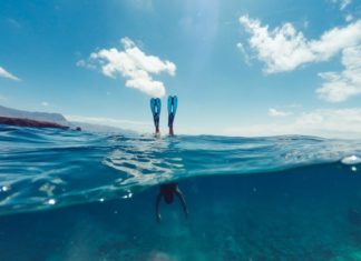 Vulkanriffe, Meeresschildkröten und versunkene Schiffwracks Gran Canaria – Das unbekannte Tauchparadies