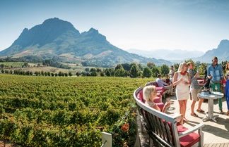 Südafrika: Wo die deutsche Prominenz unter die Winzer geht