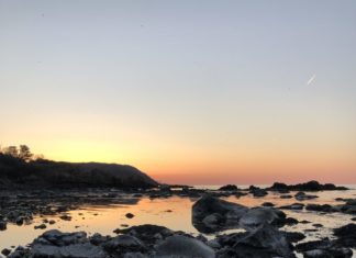 Das sind die Insider-Sommertipps der Schweden