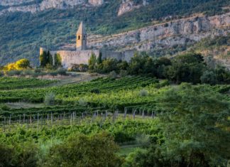 Auf ein Glas nach Primorska, Posavje und Podravje Die Weine Sloweniens sind so vielfältig wie das Land selbst