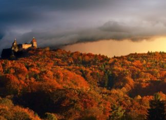 Natur pur: Das sind die spektakulärsten Nationalparks weltweit