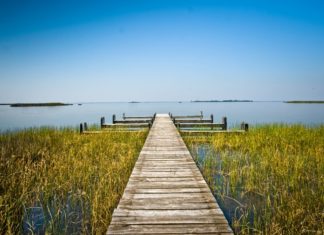 Virginia Beach: Spaß, Sport und Spotting in unberührter Natur des False Cape State Parks