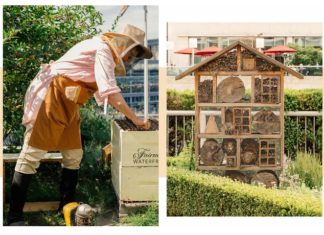 Das (Bienen-)Hotel im Hotel bei Fairmont Hotels & Resorts