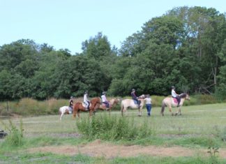 Weissenhäuser Strand: Strandreitschule mit neuem Gesicht