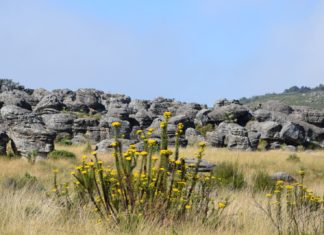 Südafrika: Durch das Felsenfeld von Kaapsehoop