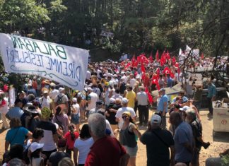 Demonstration in der Türkei: Disaster im Ida Gebirge – 200.000 Bäume gefällt!