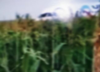 Ural Airlines nach Start in Moskau in Maisfeld notgelandet!