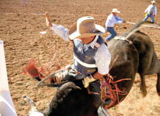 Mit Klischees aufgeräumt: 33. World Gay Rodeo Finale in Scottsdale