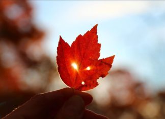 Discover Long Island: Beeindruckendes Farbspiel