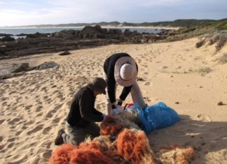 Nachhaltigkeit rund um den Globus