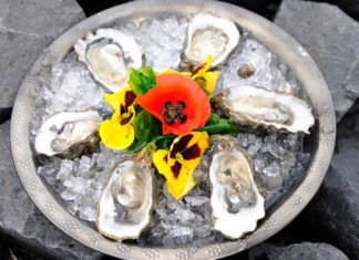 Start der Austernsaison auf Texel: erst sammeln, dann genießen