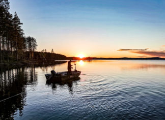 Anglerglück zwischen Elchen und Bären in Dalarna: Riesenbarsche im eigenen See
